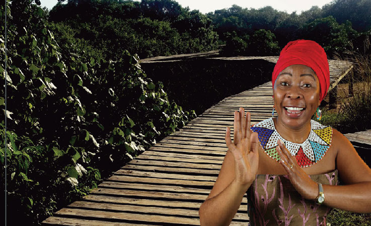 Grindrod Bank refurbishes Beachwood Mangroves boardwalk