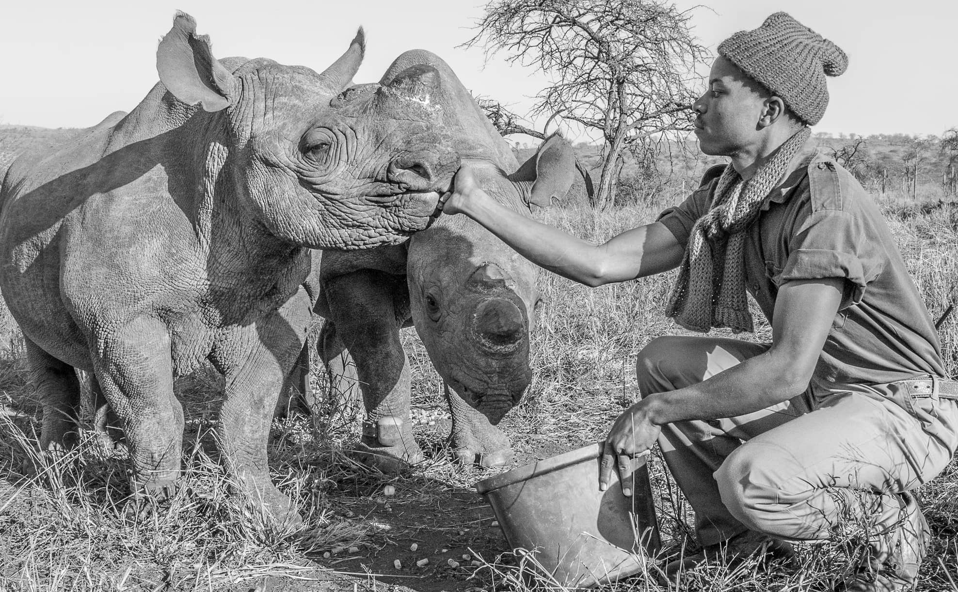 Rhino Ride raised a record amount 