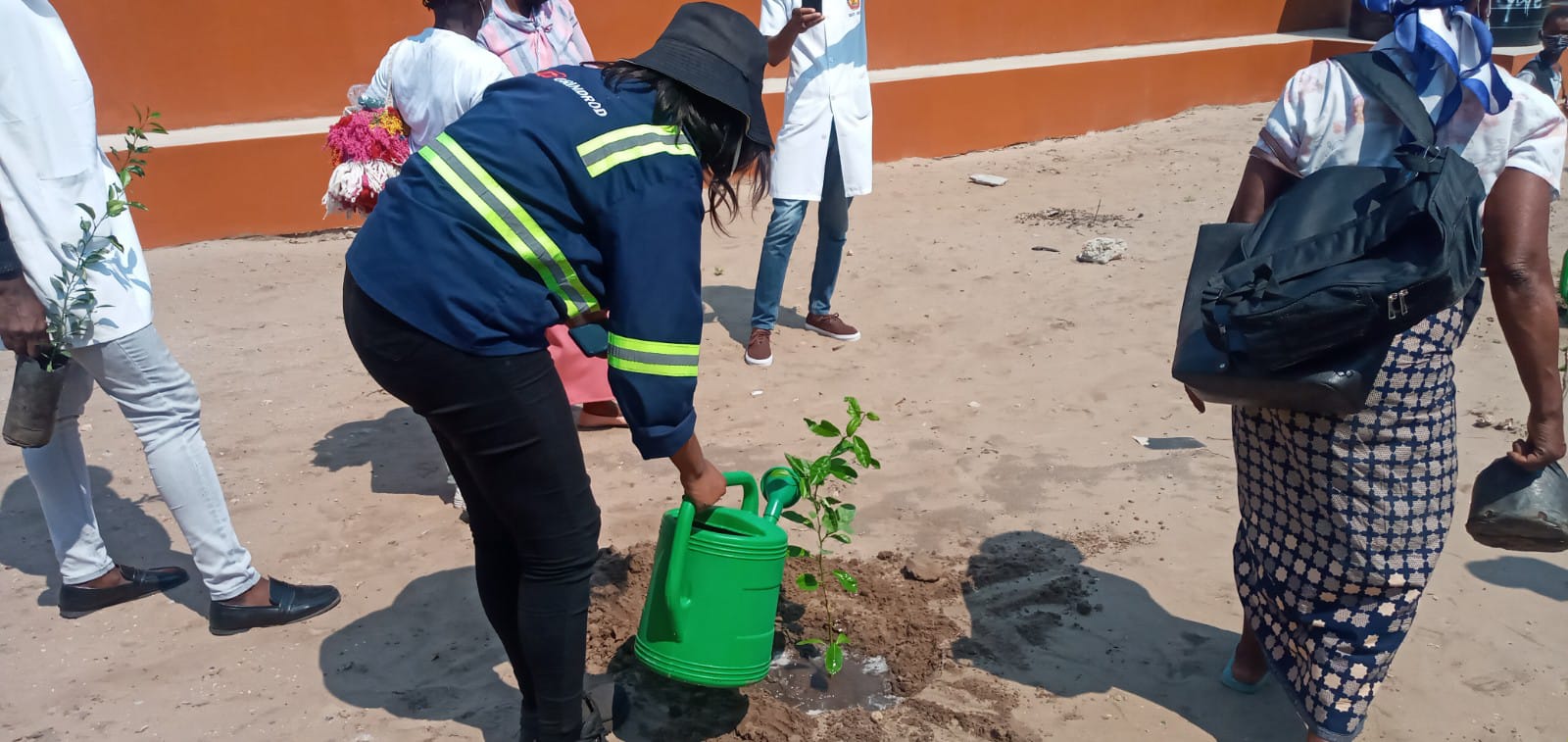 Grindrod celebrates sustainability with tree planting